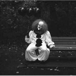 Meet your Posher, Brock